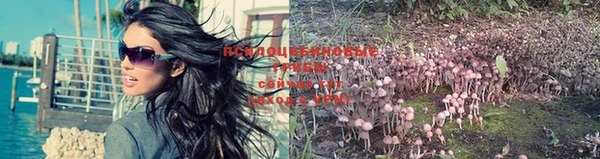 COCAINE Снежногорск