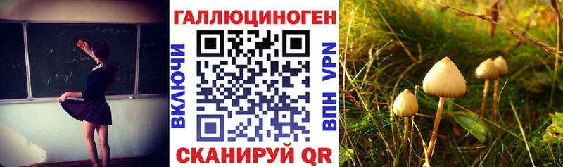 Псилоцибиновые грибы MAGIC MUSHROOMS  Купить  Тула 